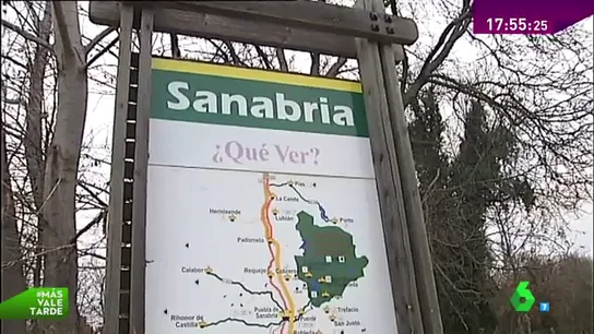 Frame 41.703723 de: sanabria Frame 41.703723 de: sanabria