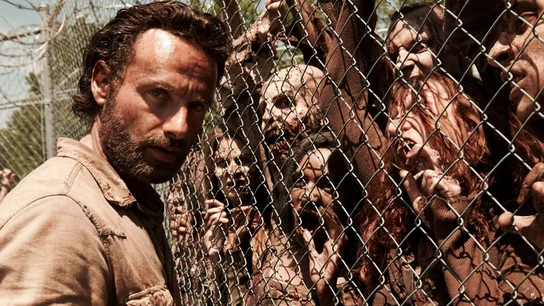 The Walking Dead The Walking Dead