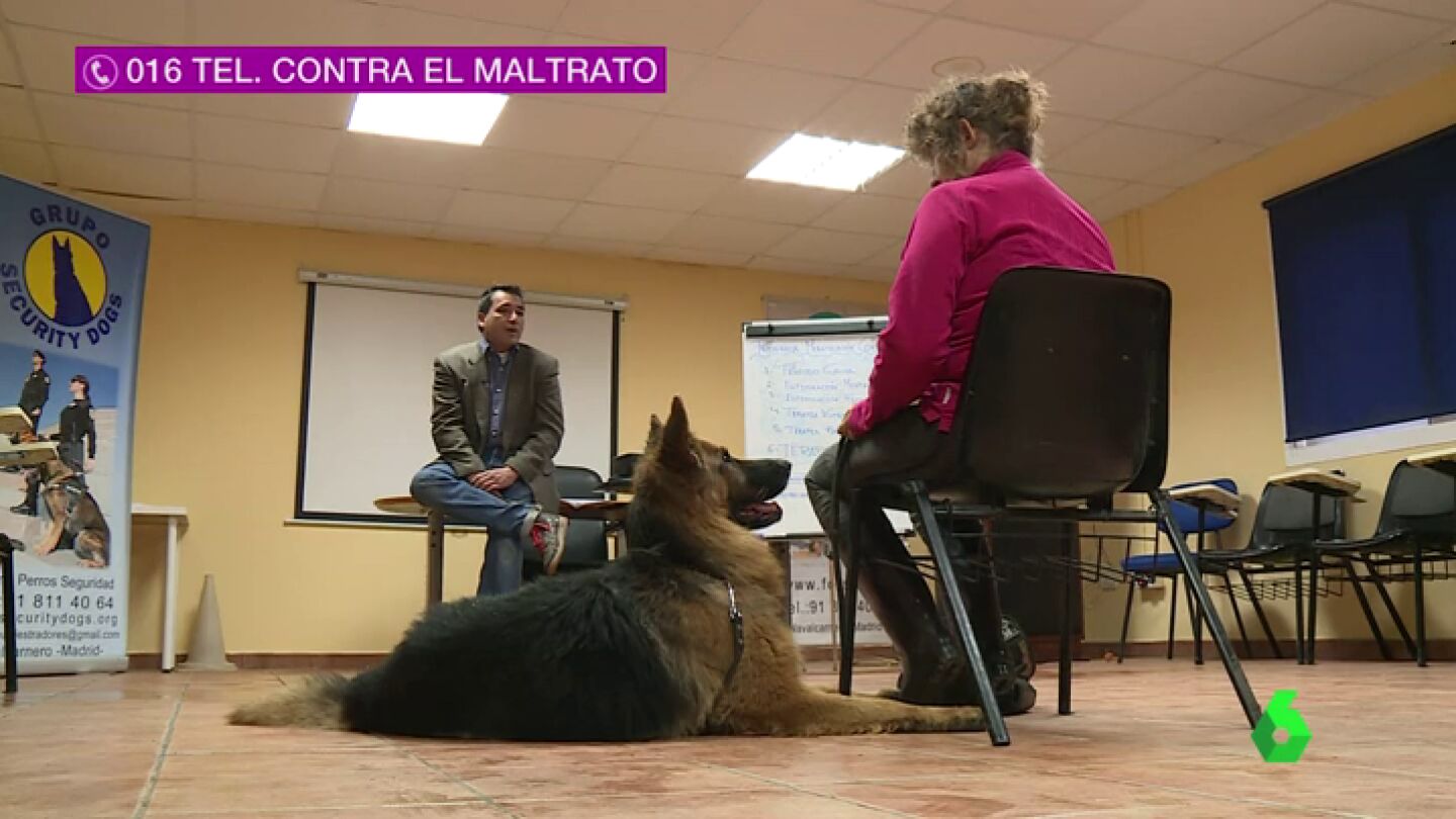 Frame 34.225732 de: Una iniciativa consigue que perros adiestrados protejan a mujeres contra la violencia machista