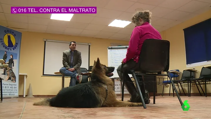 Frame 34.225732 de: Una iniciativa consigue que perros adiestrados protejan a mujeres contra la violencia machista Frame 34.225732 de: Una iniciativa consigue que perros adiestrados protejan a mujeres contra la violencia machista