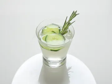 Gin Tonic Gin Tonic