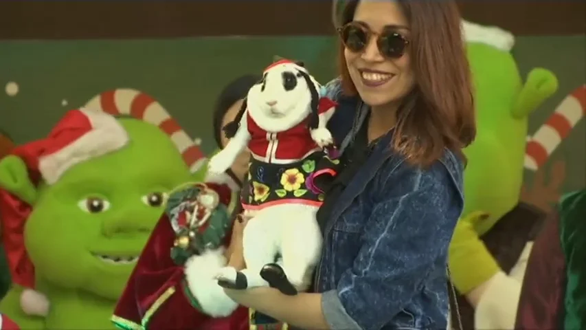 Frame 20.185733 de: Decenas de mascotas se dan cita en el 'Pet Noel 2016', el desfile navideño más animal