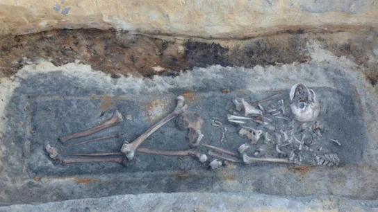 Restos encontrados Restos encontrados