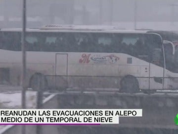 Frame 22.491428 de: NIEVE ALEPO Frame 22.491428 de: NIEVE ALEPO