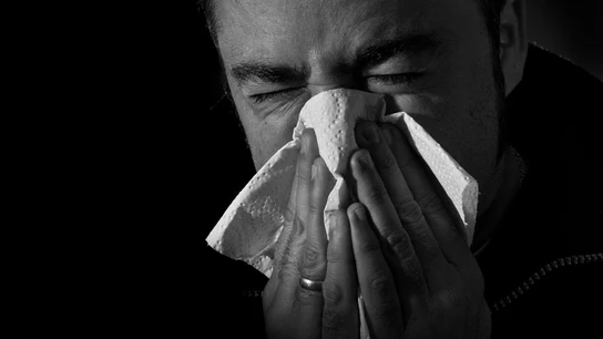 Un hombre sonándose la nariz  Un hombre sonándose la nariz