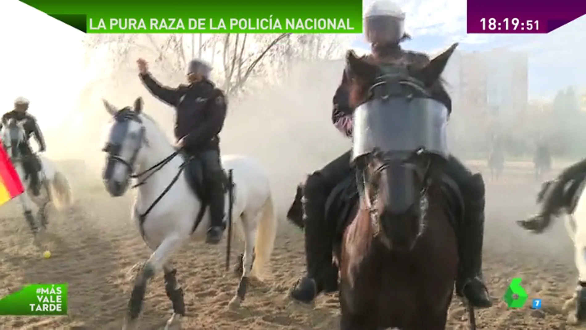 Frame 81.787217 de: Disparos, gases lacrimógenos… así se entrenan los caballos de la Policía para enfrentarse a situaciones límite