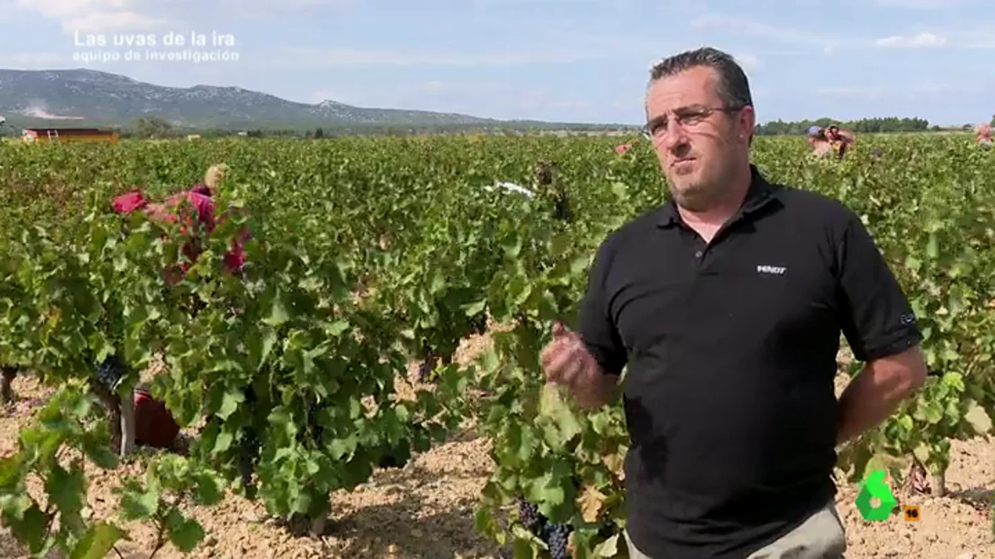 Frame 35.79063 de: Un viticultor francés apoya los ataques y el boicot al vino español: "Entra demasiado para lo que se consume en Francia" Frame 35.79063 de: Un viticultor francés apoya los ataques y el boicot al vino español: "Entra demasiado para lo que se consume en Francia"