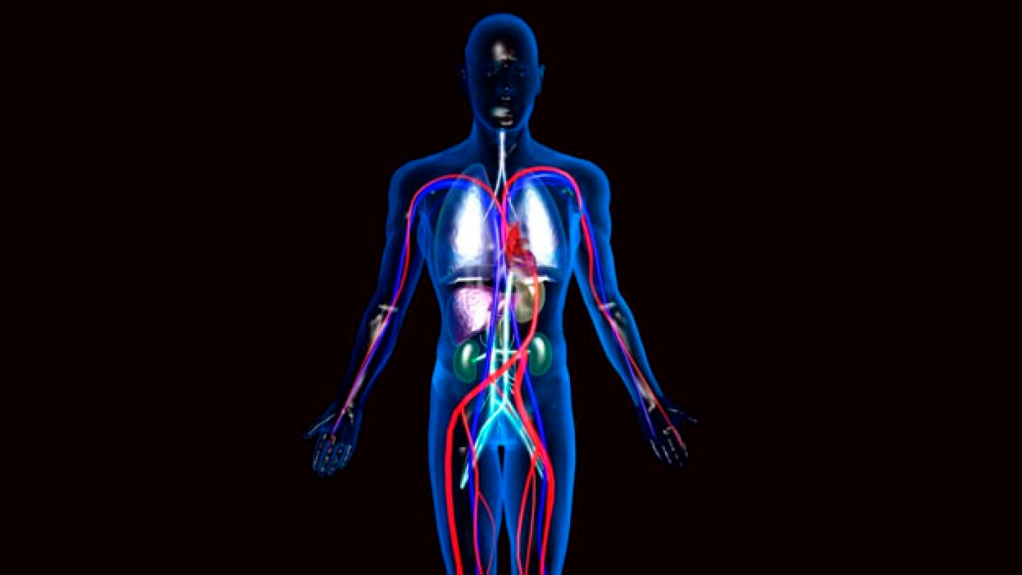 Recreaci&oacute;n del cuerpo humano en 3D