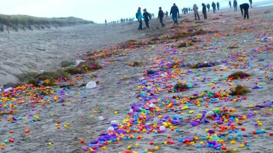Huevos Kinder esparcidos en una playa alemana