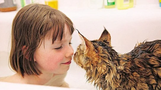 La pequeña Iris, que padece autismo, y su gato Thula La pequeña Iris, que padece autismo, y su gato Thula