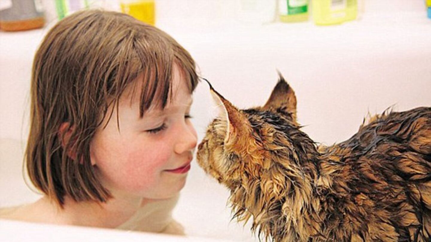 La peque&ntilde;a Iris, que padece autismo, y su gato Thula