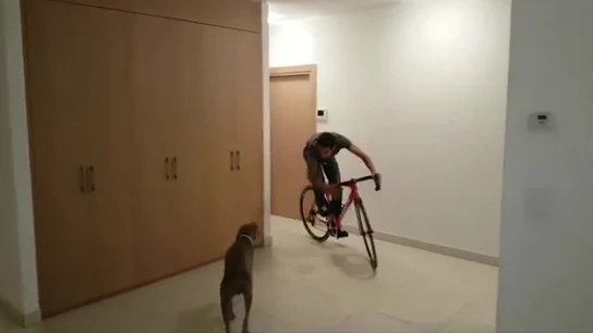 Contador, con su perro Contador, con su perro