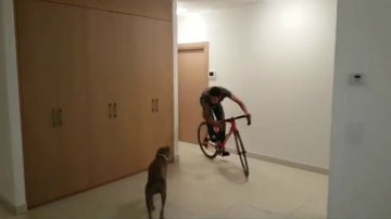 Contador, con su perro