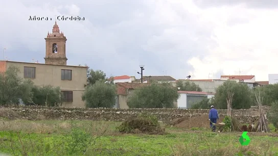 Frame 11.584317 de: Un pueblo a una hora de Córdoba con 1.600 habitantes, el lugar que más pedidos le hace a Amazon en toda España Frame 11.584317 de: Un pueblo a una hora de Córdoba con 1.600 habitantes, el lugar que más pedidos le hace a Amazon en toda España