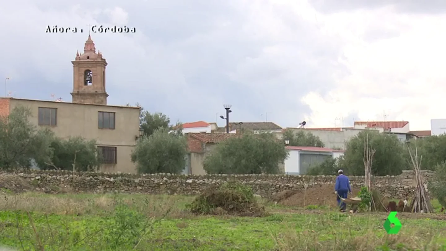 Frame 11.584317 de: Un pueblo a una hora de Córdoba con 1.600 habitantes, el lugar que más pedidos le hace a Amazon en toda España Frame 11.584317 de: Un pueblo a una hora de Córdoba con 1.600 habitantes, el lugar que más pedidos le hace a Amazon en toda España