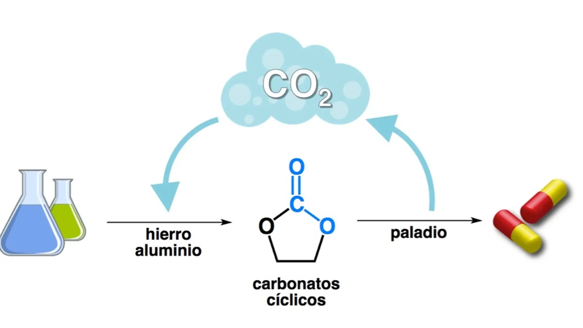 A partir de moléculas sencillas y CO2 pueden sintetizarse valiosos fármacos