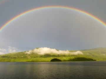 Los arcoíris se producen cuando la luz atraviesa las gotas de agua de lluvia