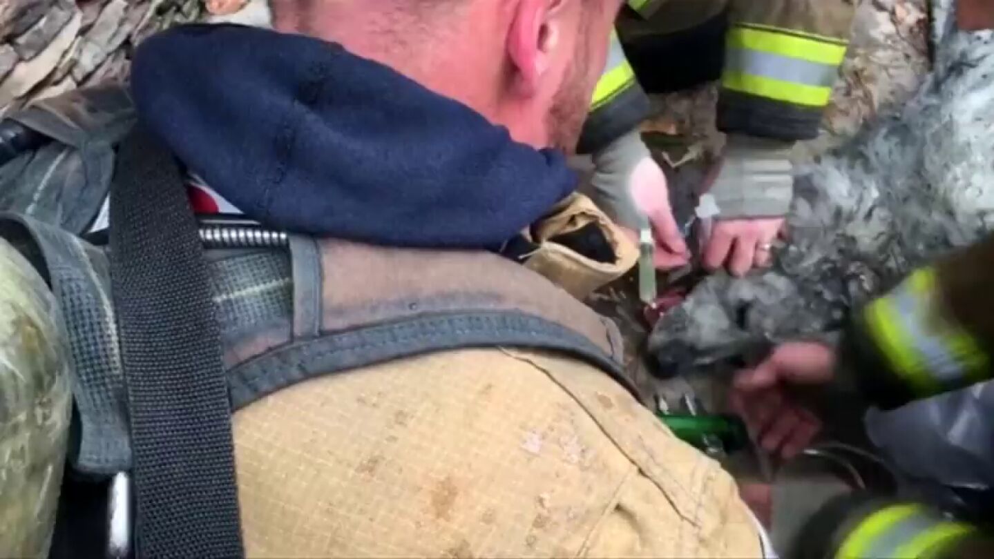 Frame 0.0 de: Bomberos de Washington reaniman a un perro sumistr&aacute;ndole ox&iacute;geno tras un incendio