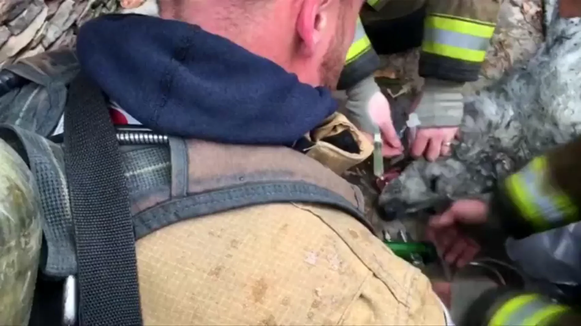 Frame 0.0 de: Bomberos de Washington reaniman a un perro sumistrándole oxígeno tras un incendio
