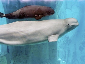 Kylu junto a su madre Kylu junto a su madre