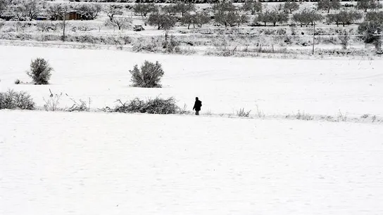 Nieve en Alicante Nieve en Alicante