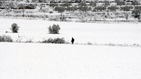 Un hombre camina por la nieve en el municipio de Benassau (Alicante)