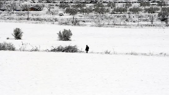 Un hombre camina por la nieve en el municipio de Benassau (Alicante) Un hombre camina por la nieve en el municipio de Benassau (Alicante)