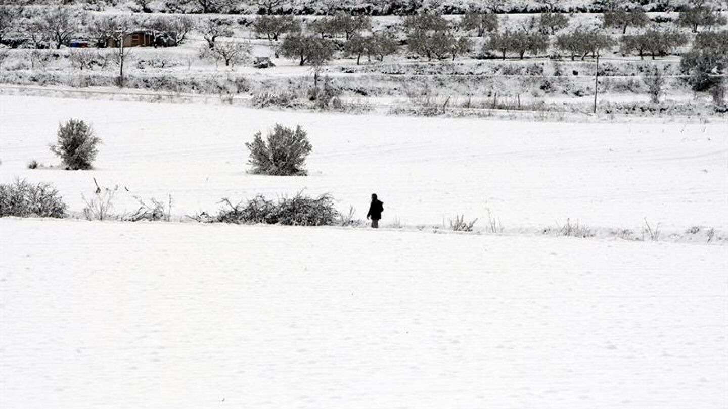 Un hombre camina por la nieve en el municipio de Benassau (Alicante)