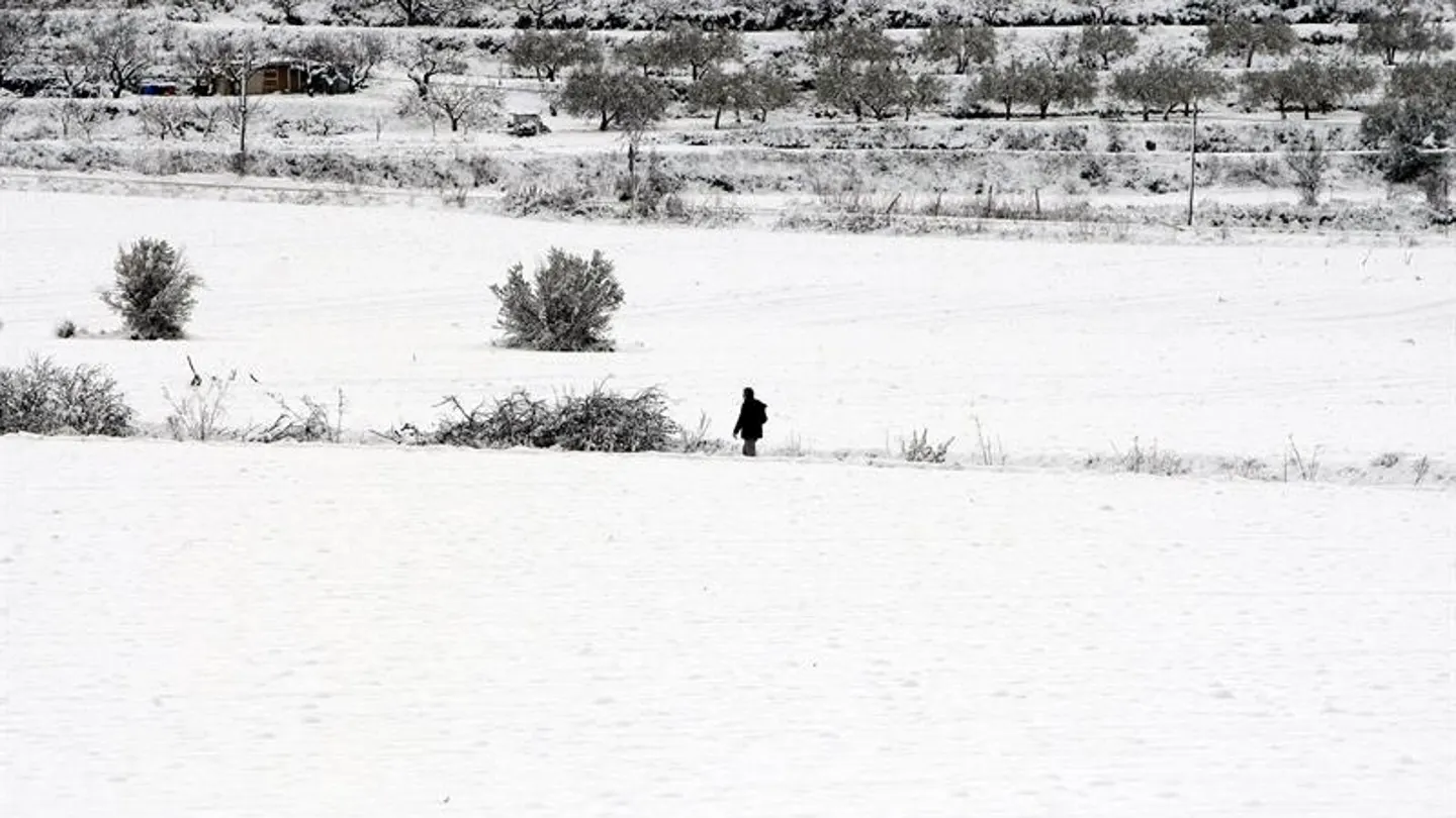 Un hombre camina por la nieve en el municipio de Benassau (Alicante) Un hombre camina por la nieve en el municipio de Benassau (Alicante)