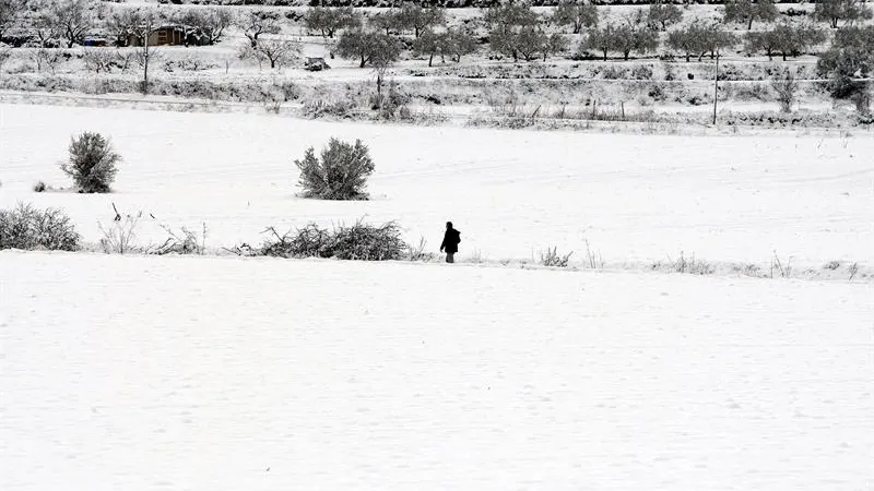 Un hombre camina por la nieve en el municipio de Benassau (Alicante) Un hombre camina por la nieve en el municipio de Benassau (Alicante)