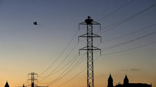 Tendido eléctrico Tendido eléctrico