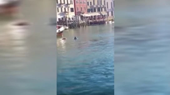 Un inmigrante muere ahogado en un canal de Venecia Un inmigrante muere ahogado en un canal de Venecia
