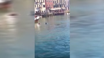 Un inmigrante muere ahogado en un canal de Venecia