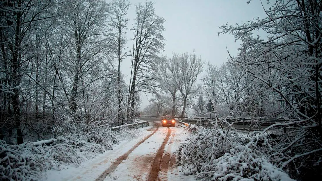 Aspecto de una carretera local cerca de la N-260 entre Olot y Ripoll