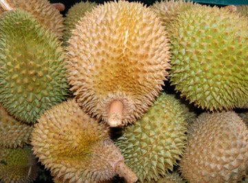 El durio, "el rey de las frutas"