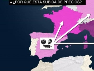 Precios de las verduras Precios de las verduras
