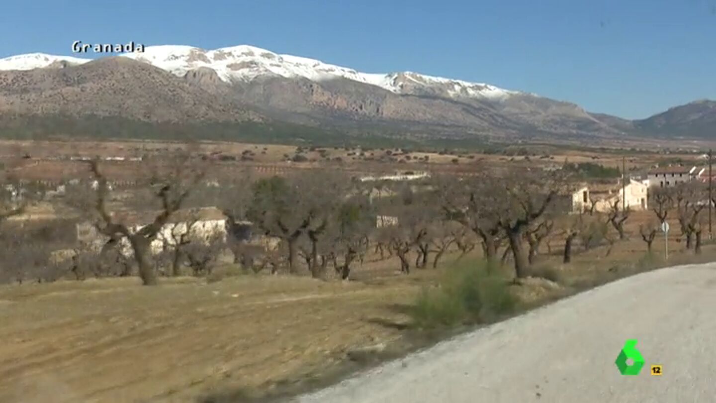 Frame 96.86204 de: Almendros de laboratorio, la fiebre por la almendra se expande en Espa&ntilde;a