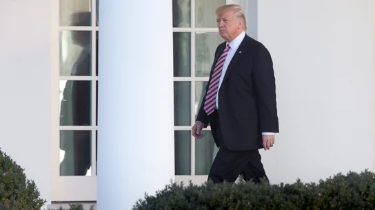 Donald Trump Donald Trump