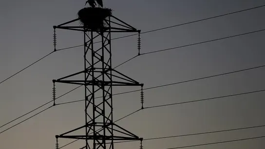 Las eléctricas tendrán que dar tres avisos y esperar hasta cuatro meses antes de cortar la luz DIFERENTES CATEGORÍAS