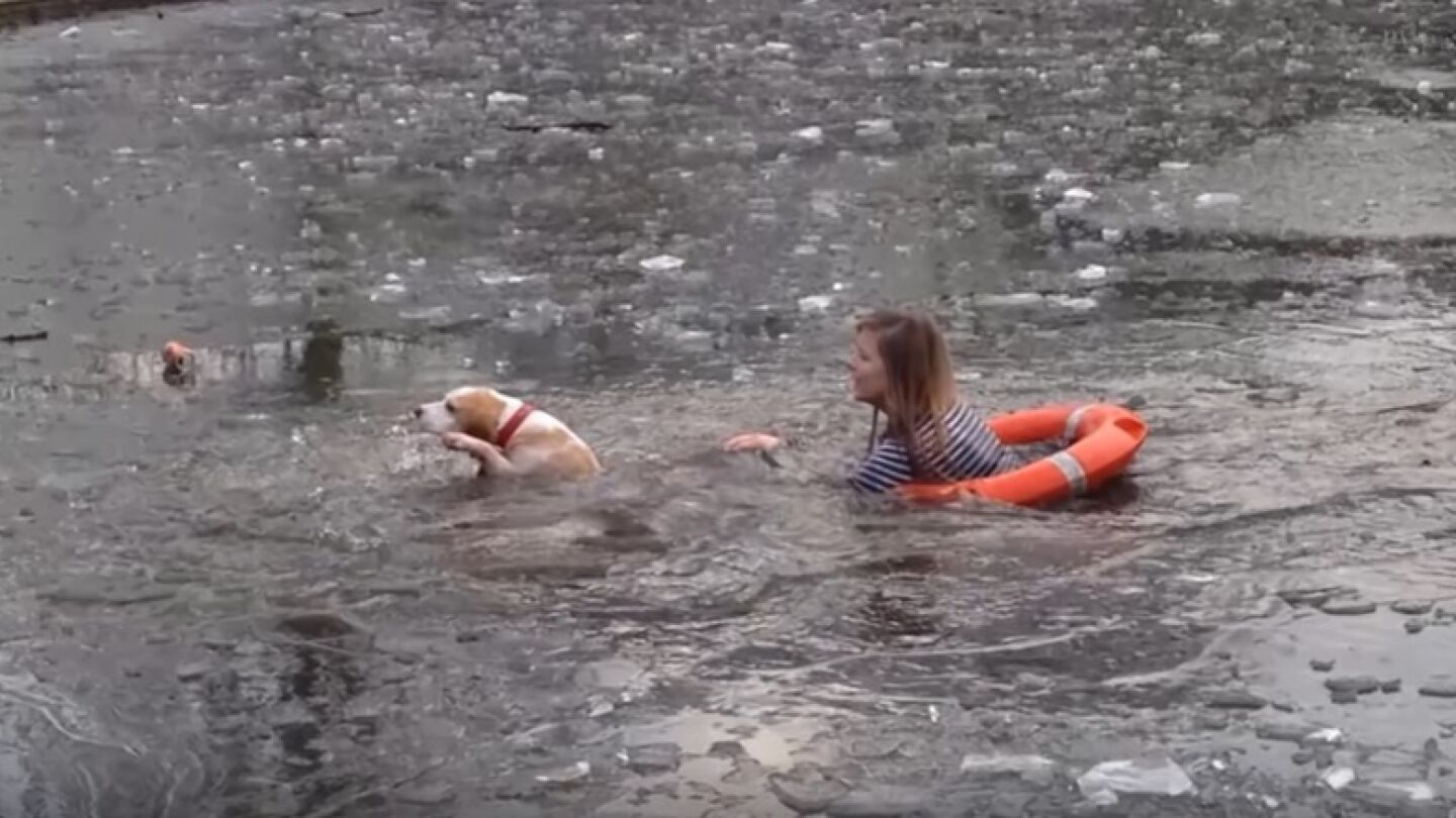 Joven se lanza a rescatar a su lago
