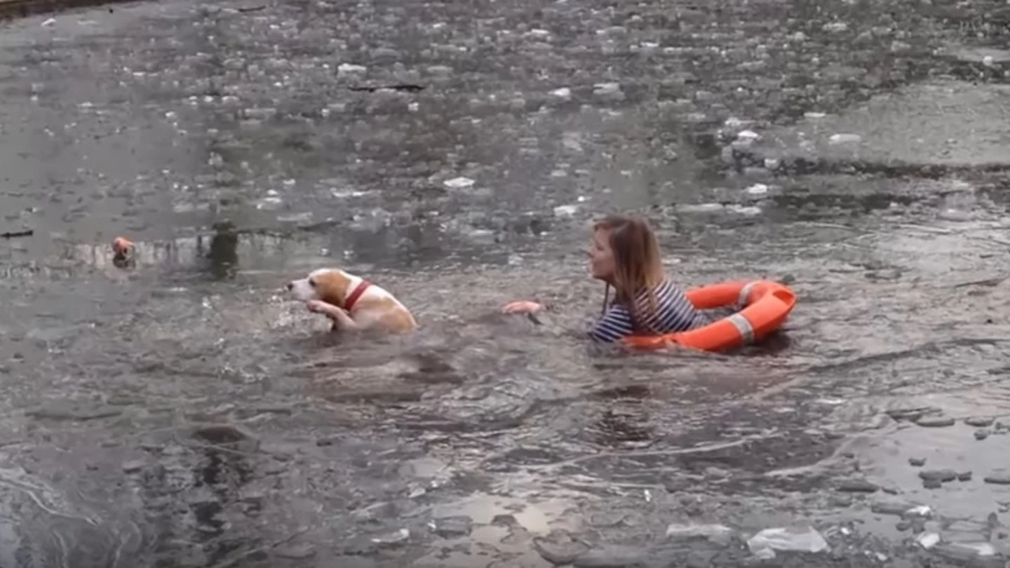 Una joven se lanza a rescatar a su perro Joven se lanza a rescatar a su lago
