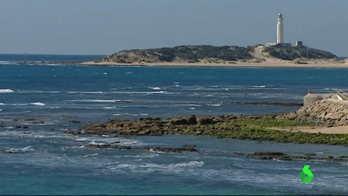 Frame 0.612628 de: barbate