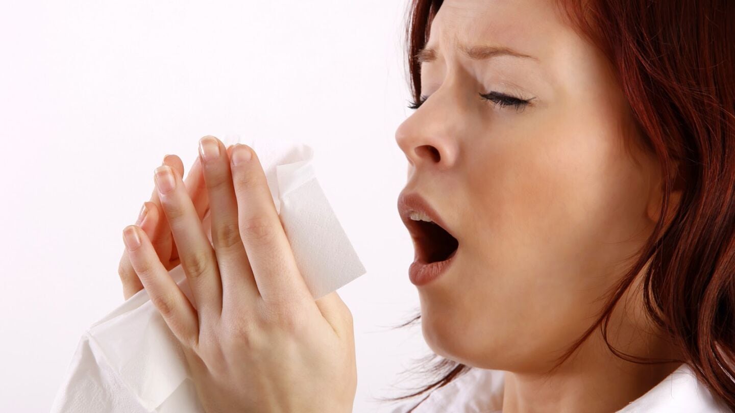 Alimentos contra la alergia