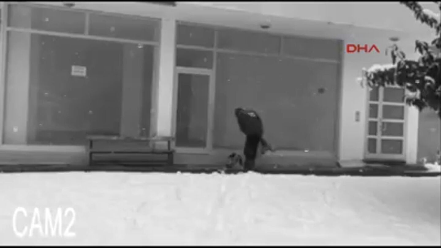 Frame 43.898021 de: Premian al hombre que se quit&oacute; su cazadora para abrigar a un perro callejero al borde de la muerte por el intenso fr&iacute;o