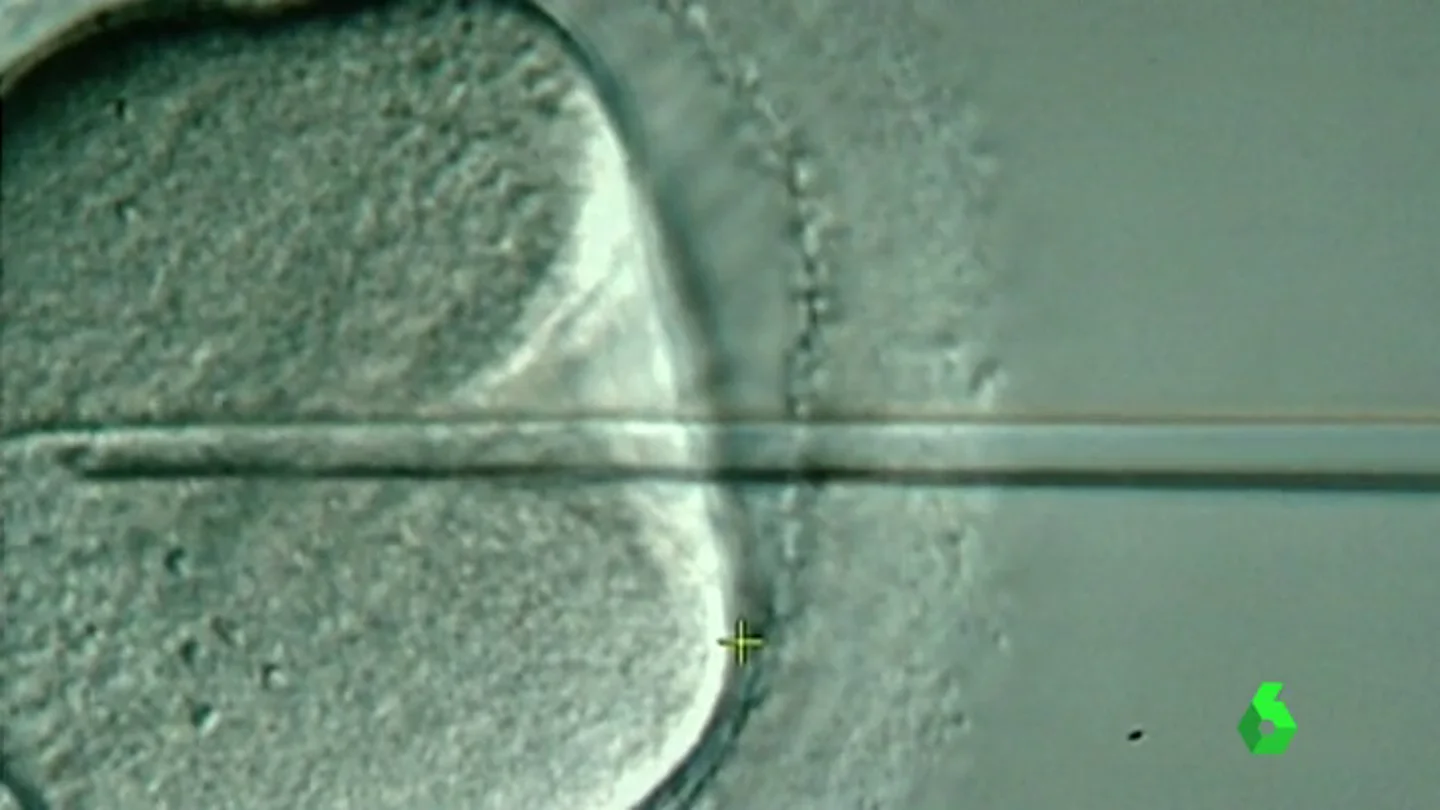 Frame 9.35949 de: inseminacion Frame 9.35949 de: inseminacion
