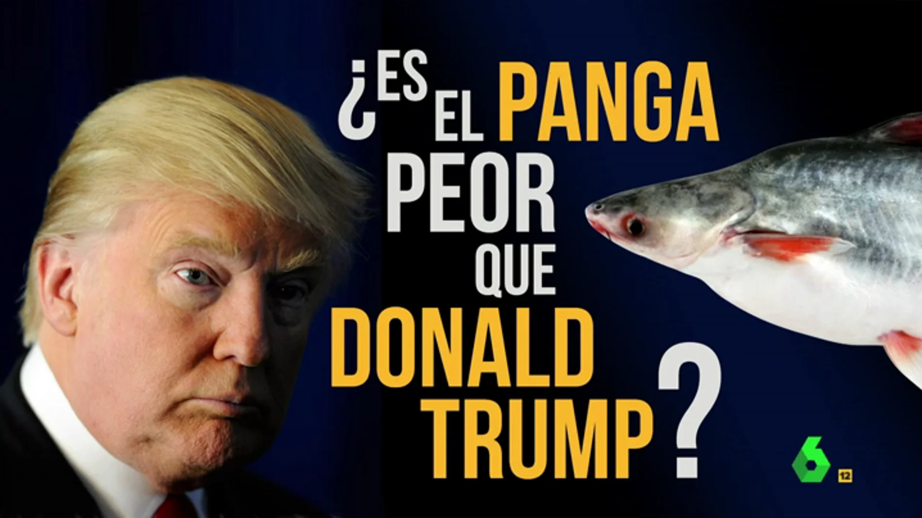 Frame 61.226666 de: Dani Mateo: "Puede que Trump no sea tan malo si lo comparamos con el panga, el Hanibal Lecter de los peces"