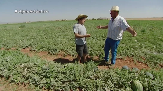 El Jefe Infiltrado de Kiwi Atlántico y Javier El Jefe Infiltrado de Kiwi Atlántico y Javier