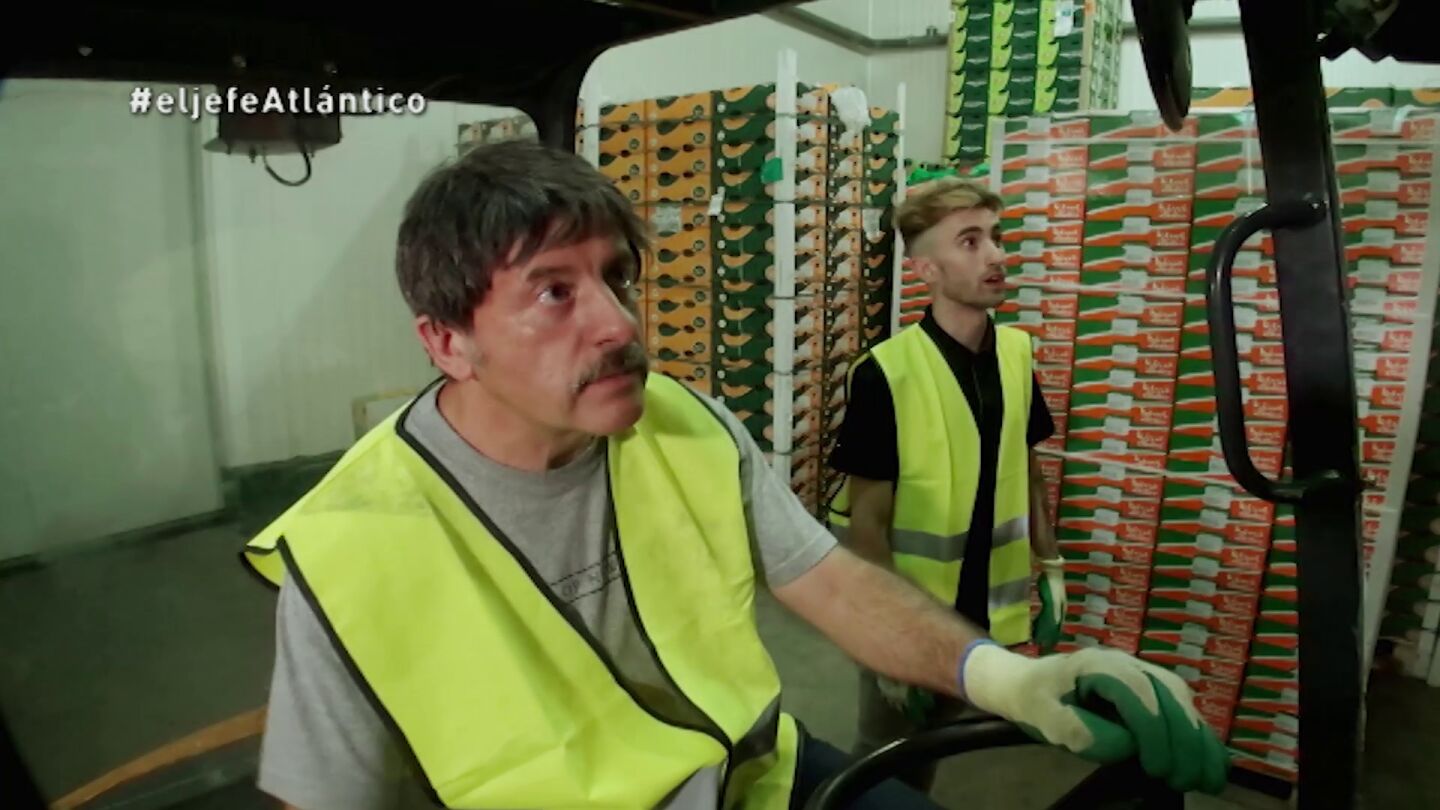 El Jefe Infiltrado de Kiwi Atl&aacute;ntico y &Aacute;ngel