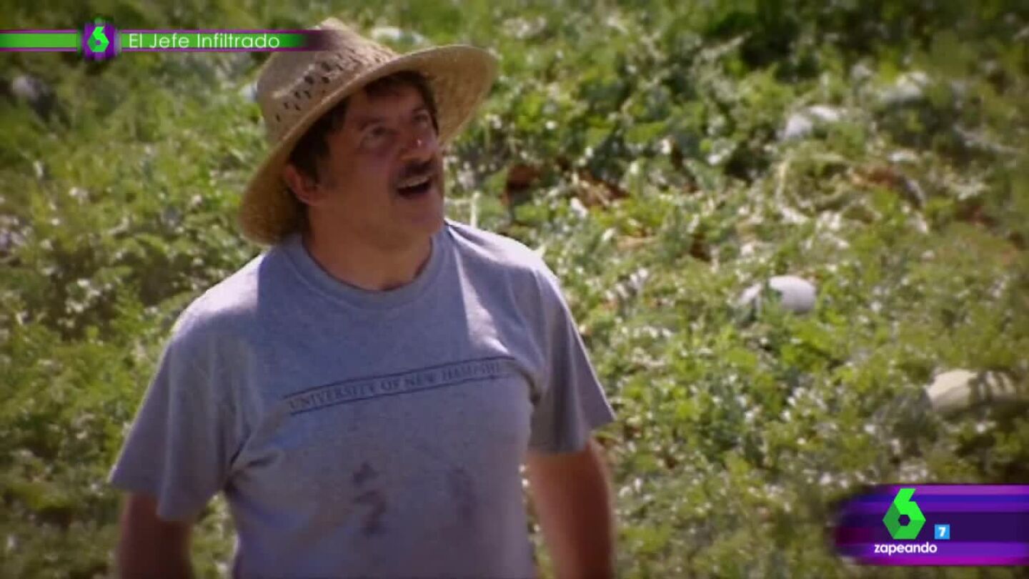 El Jefe Infiltrado de Kiwi Atl&aacute;ntico 