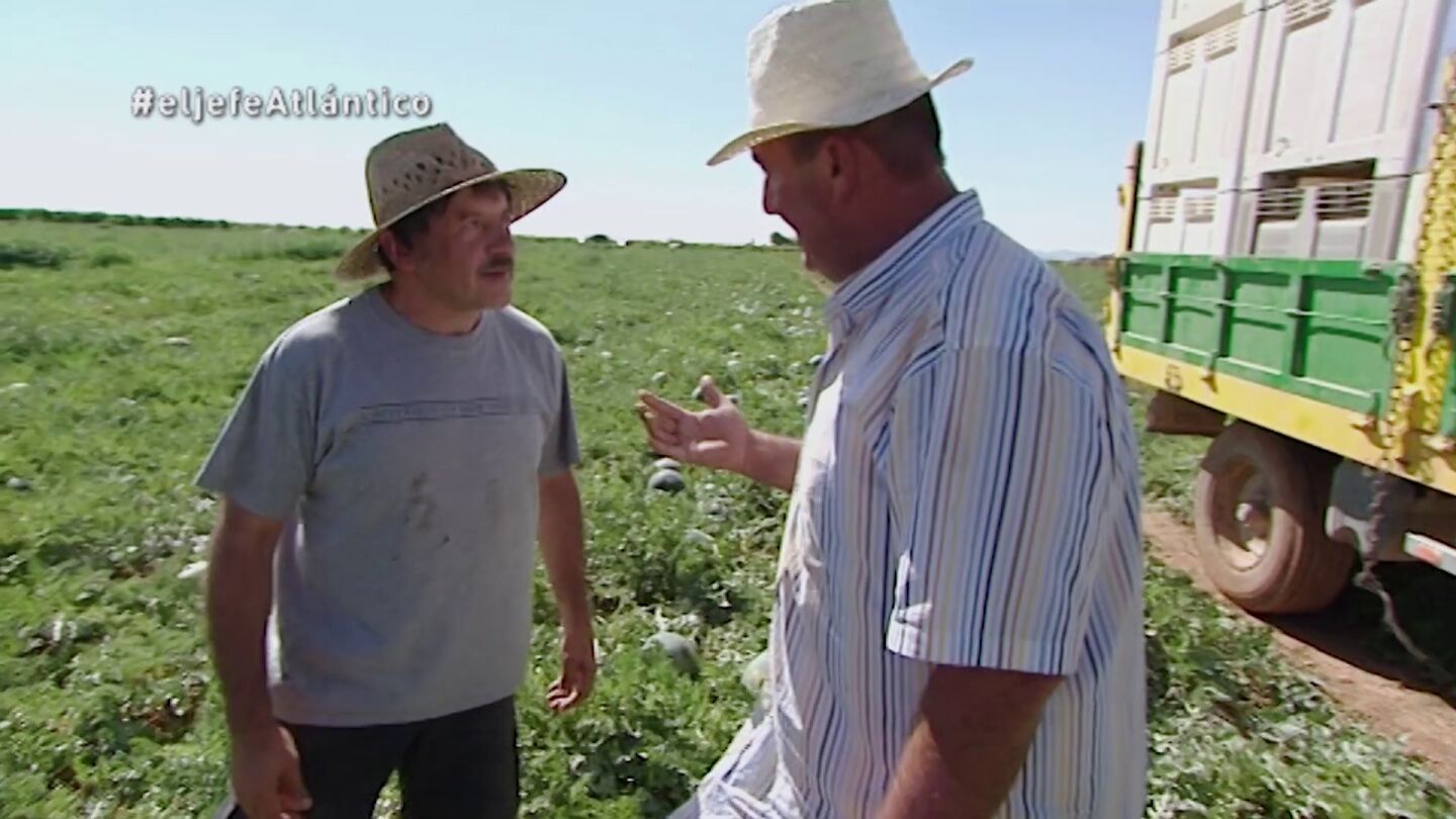 El Jefe Infiltrado de Kiwi Atl&aacute;ntico y Javier
